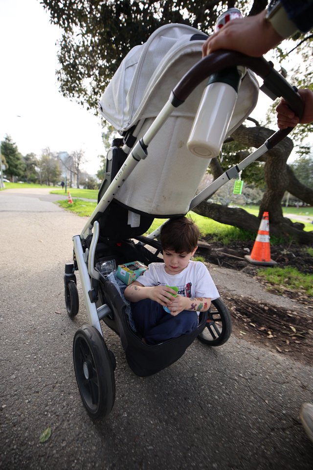 Child Playing with Toy While Walking in Stroller