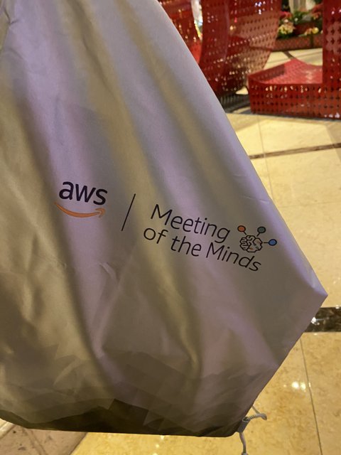 Meeting of the Minds Bag