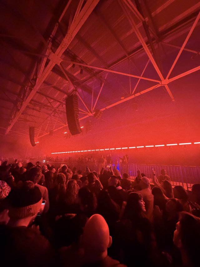 Red-Lit Crowd at Electronic Music Concert Event