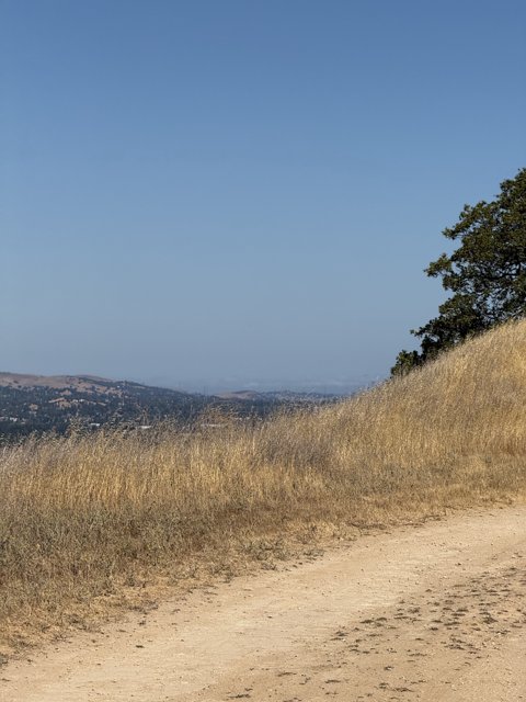 Serene Pathway at Lime Ridge