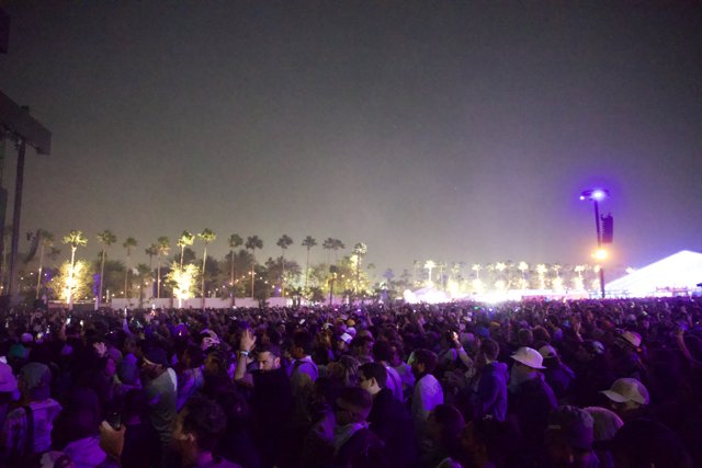 Electric Nights at Coachella 2024: A Sea of Faces Under Purple Skies