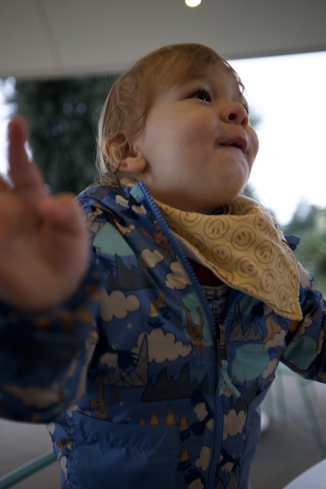 Joyful Toddler Reaching Upward with Wonder