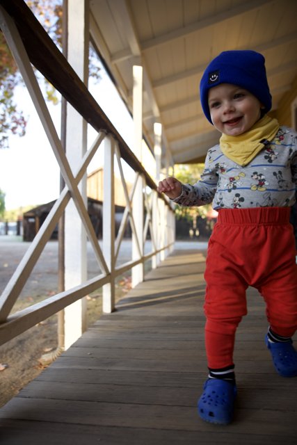 Evenings in Downtown Sonoma - Baby Wesley's Adventure