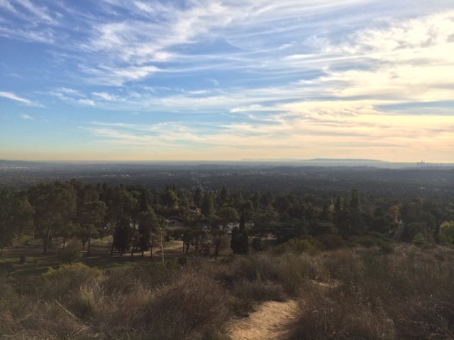 A Scenic View of Angeles National Forest