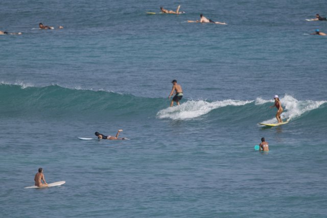 Catching Waves: A Day of Surfing in Hawaii 2024