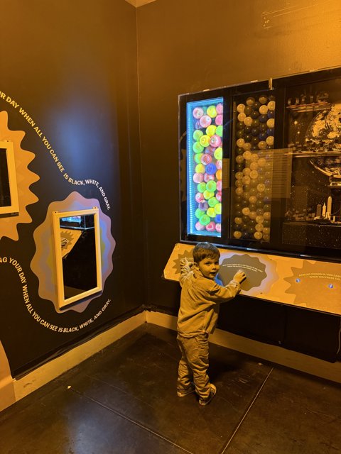 Exploring Wonders