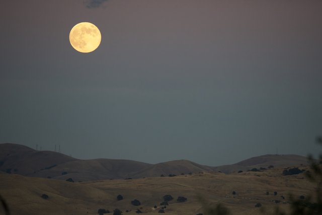 Moonlit Elegance Over Walnut Creek