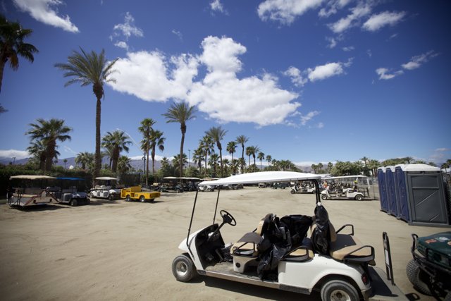 Parked Golf Cart near Palm Trees