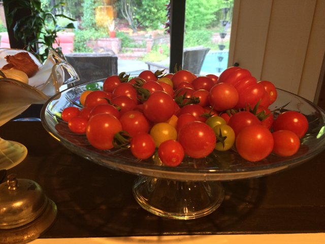 A Bountiful Harvest of Homegrown Tomatoes
