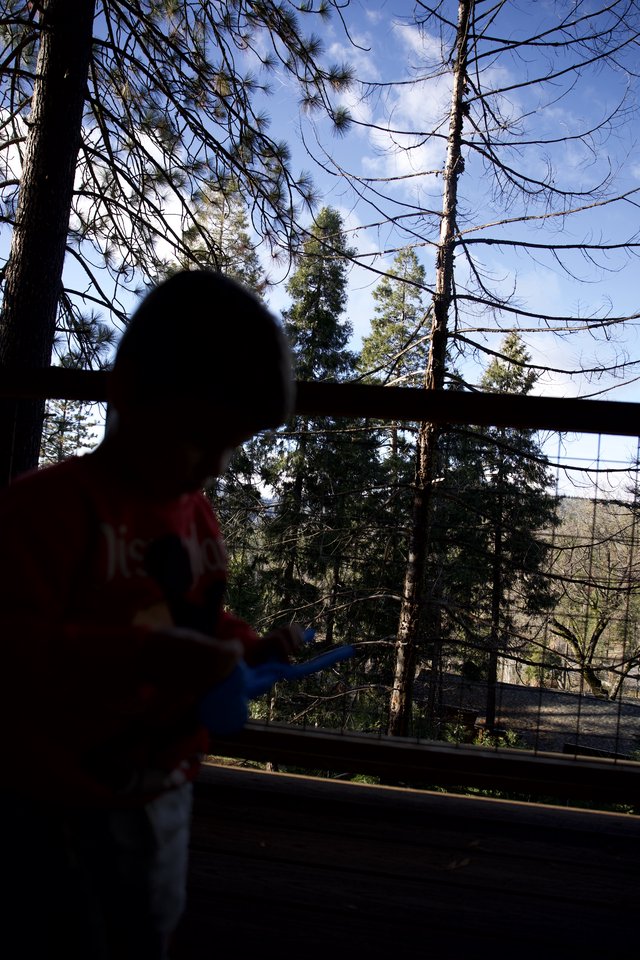 Mario Amiibo Silhouette Against Forest Canopy View