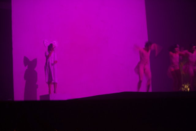 Purple Haze Performance