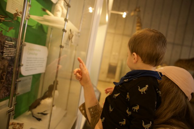 Exploring the Natural Wonders: A Day at The Academy of Sciences