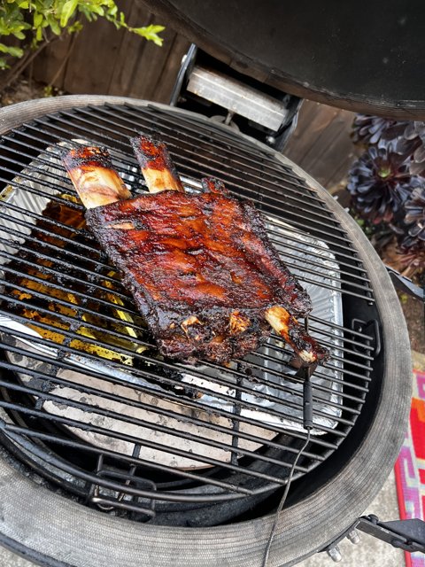 Grilled Delights: Mouthwatering Ribs and Chicken on the BBQ