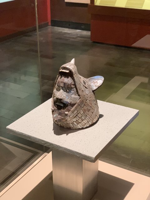 A Ceramic Head on Display