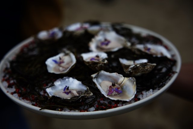 Pescadero's Delight: Oysters and Blooms
