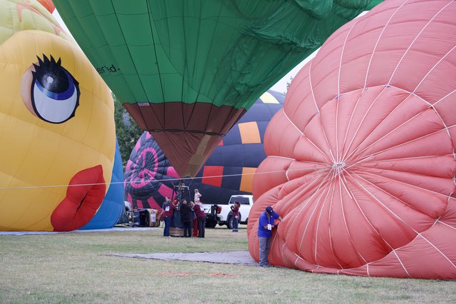 Colorful Hot Air Balloons Inflating at Festival Ground