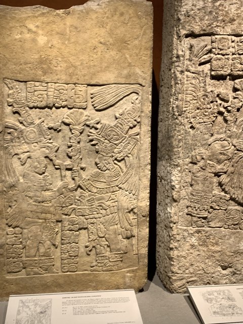 Ancient Carvings on Display