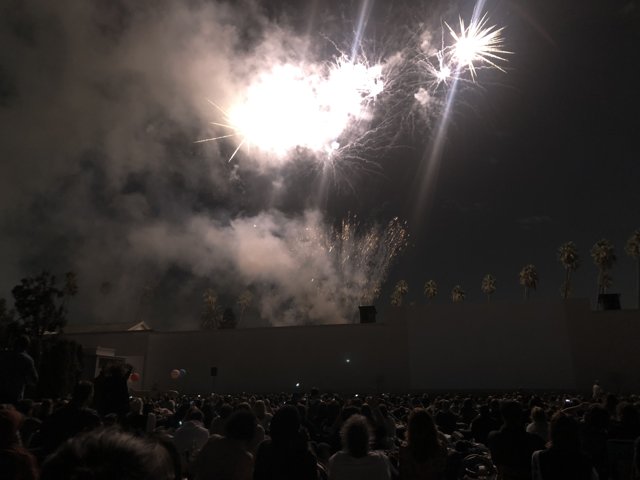 Fireworks Light Up the Night Sky Above Excited Crowd