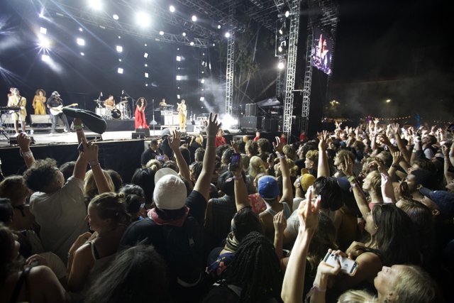 Energized Crowd at FYF Bullock 2015 Concert