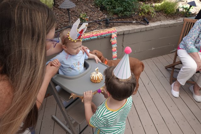 Celebrating Little Joys