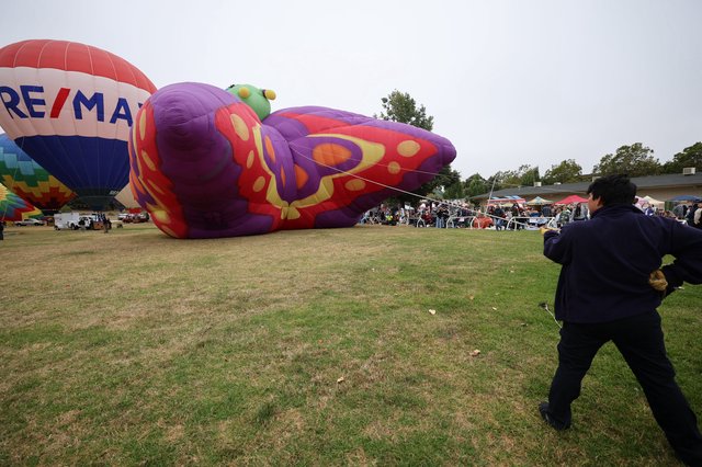 Giant Butterfly Balloon Inflating at Hot Air Festival