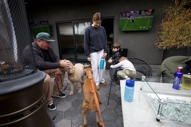 Family Patio Gathering with Dogs and Football