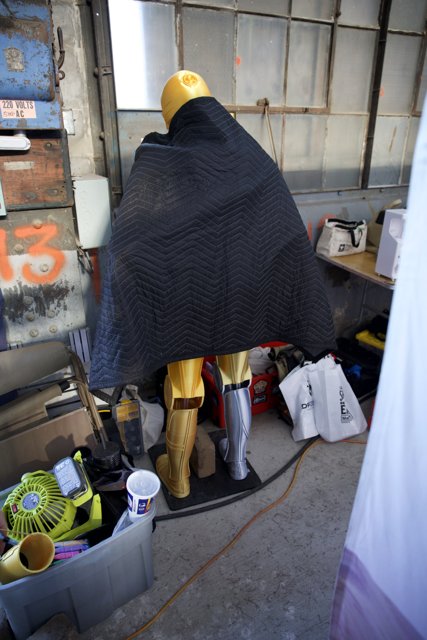The Mysterious Cloak of Maker Faire