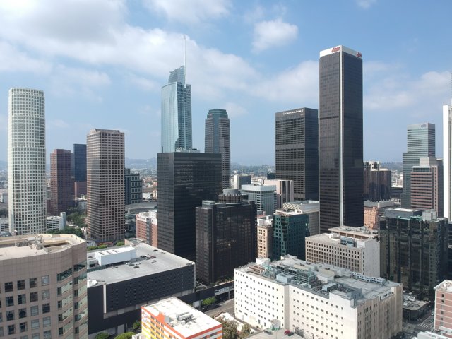 A Bird's Eye View of L.A.'s Urban Landscape