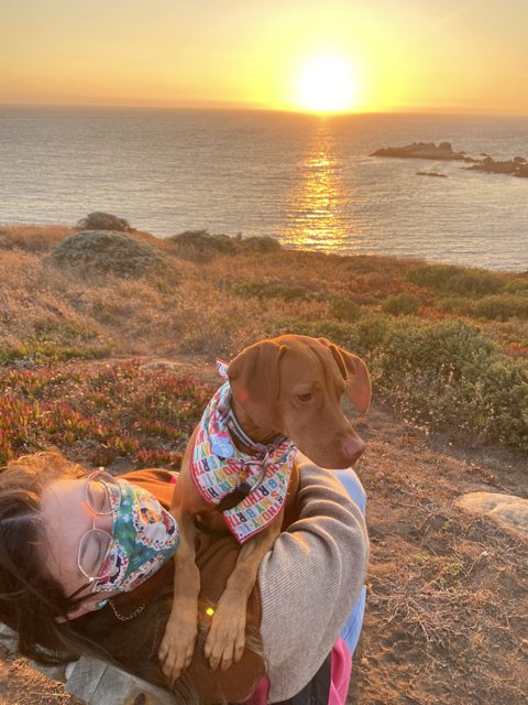 Sunset Relaxation with Furry Companion