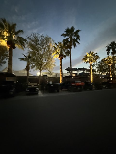 Twilight Under the Palms
