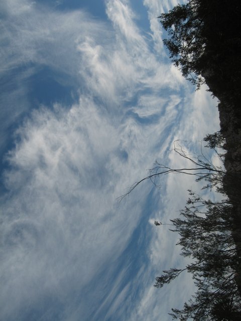 Cumulus Clouds Overhead