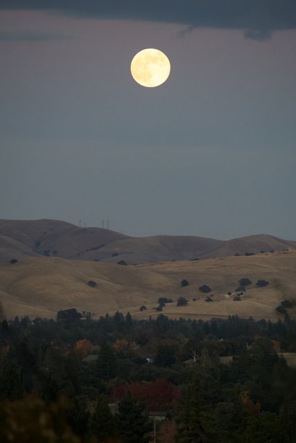 Lunar Serenity Over Walnut Creek