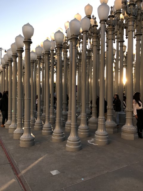 L.A. Lightposts in a Row