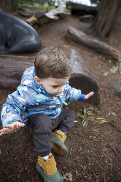 Childhood Innocence Unleashed Among Nature's Splendor