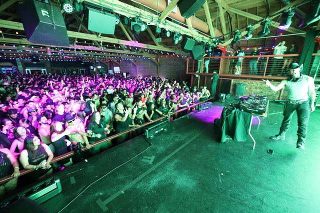 DJ Commands Massive Crowd at Wobbleland 2026