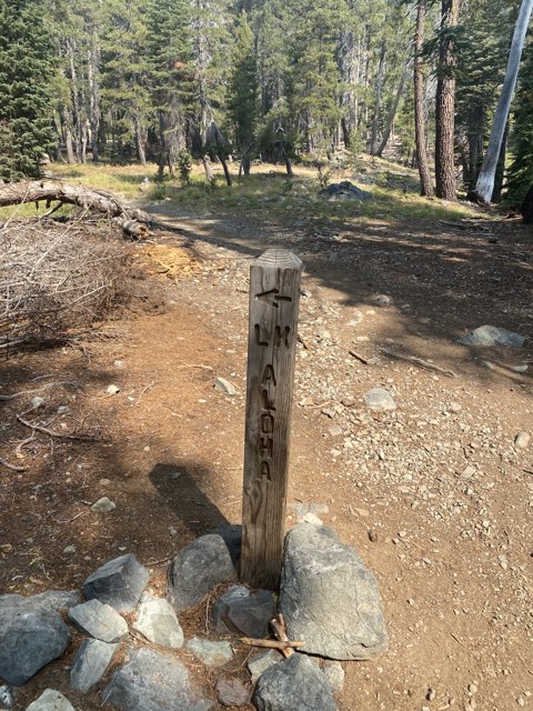 Marking the Trail