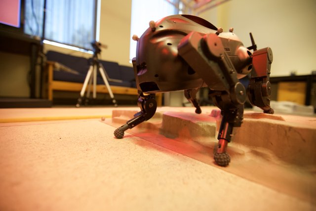 Robo-Pup on Plywood Pedestal