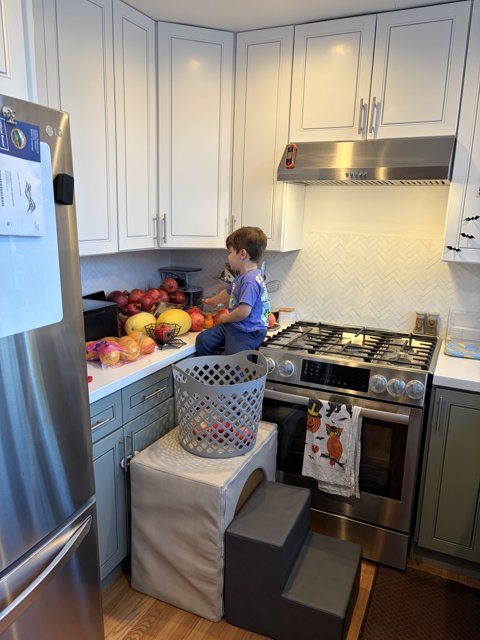 Kitchen Adventures