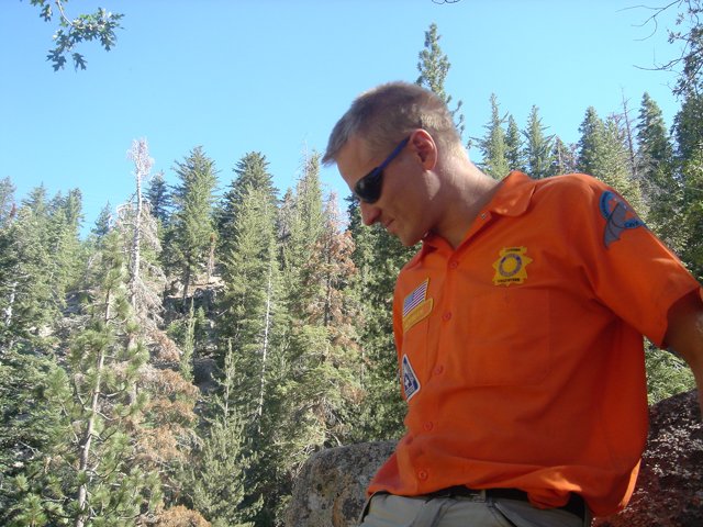 Orange Shirted Man in a Verdant Coniferous Forest