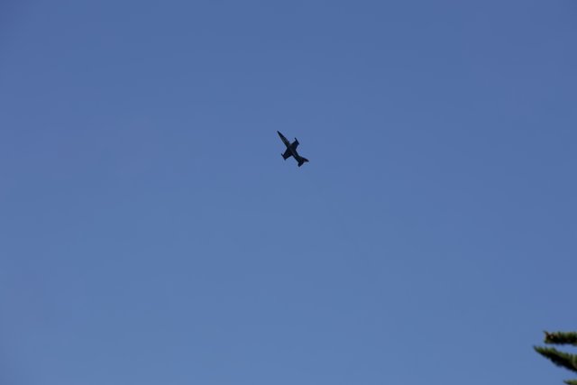 Fleet Week Spectacle: The Blackbird at Great Meadow Park