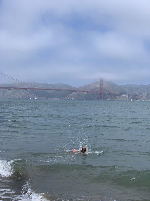 Ocean Swimmer with Bridge Backdrop