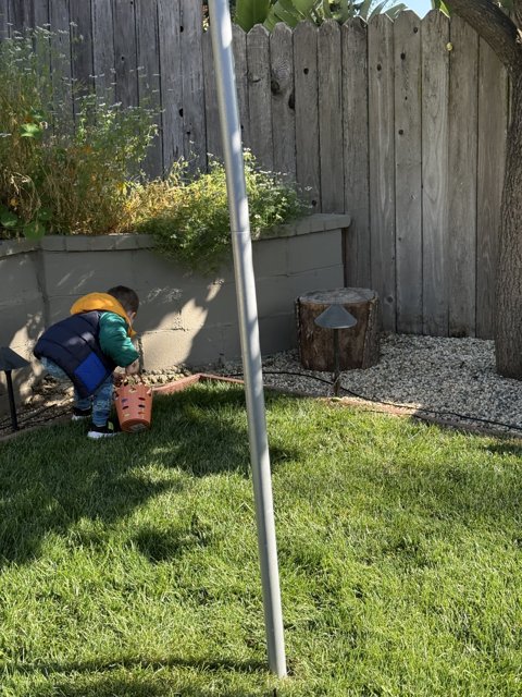 Backyard Discovery