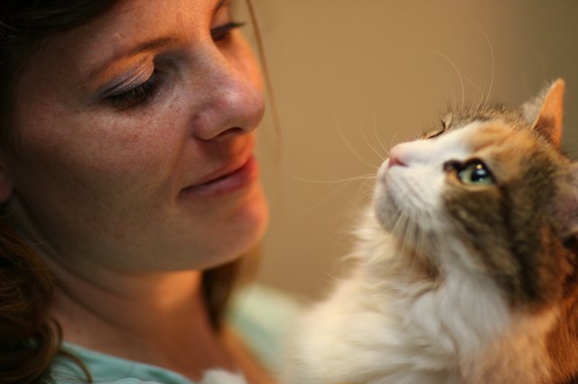 Tender Moment Between Woman and Fluffy Cat