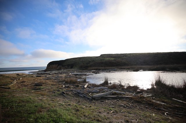 Coastal Wetland at Drakes Beach with Dramatic Headland