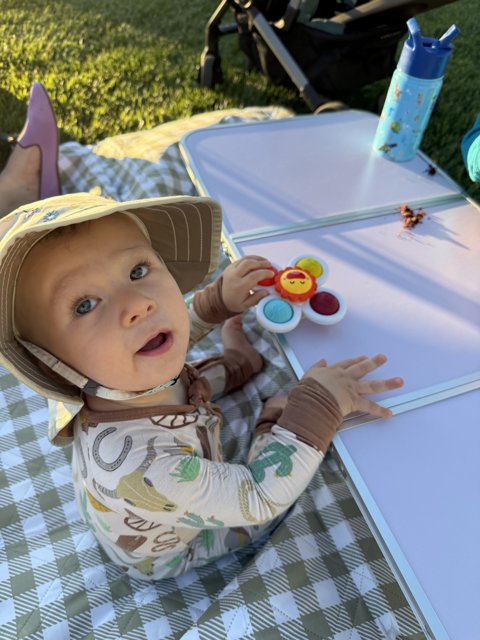 Sunny Summer Picnic
