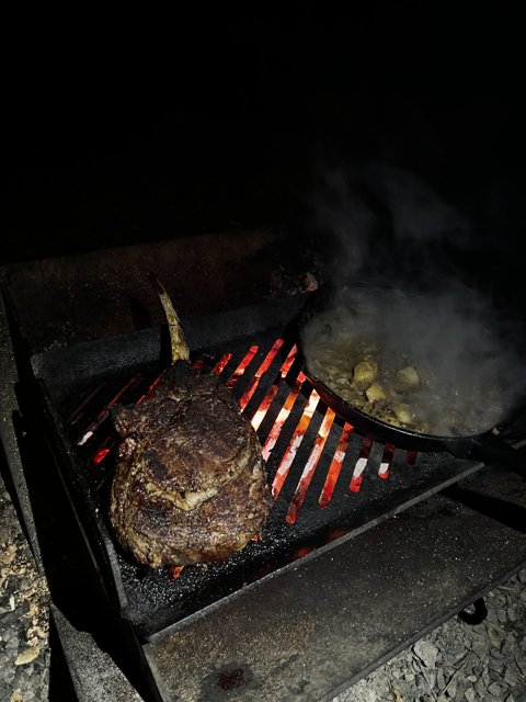 Nighttime Grilling in the Forest