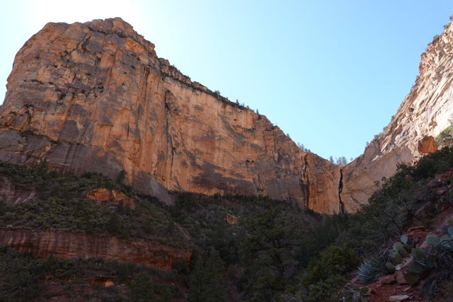 Towering Cliffs in Coconino National Forest