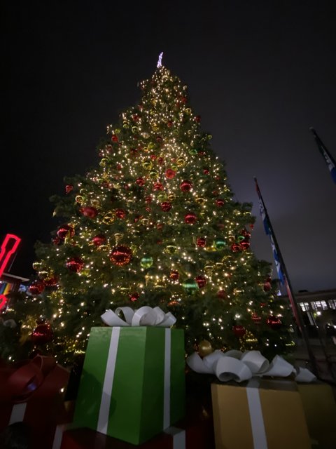 Festive Christmas Tree at PIER 39
