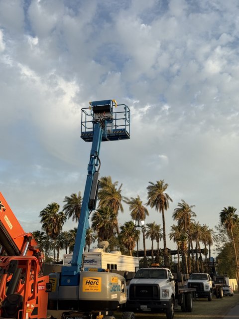 Urban Machinery Amidst the Palms