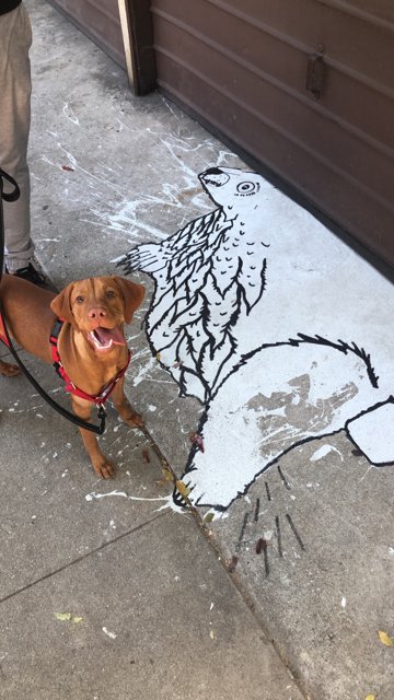 Canine Meets Art